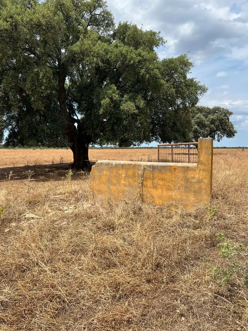 Land for sale in Calle Hernán Cortés, 20, Jaraicejo