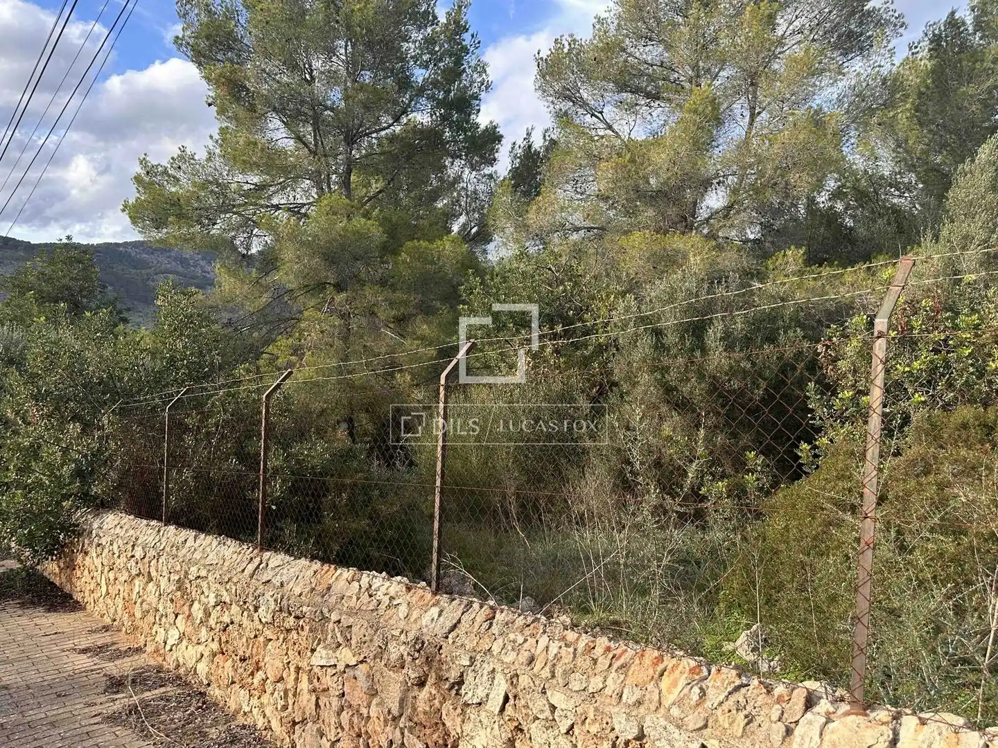 Terreny rústic en venda a Bunyola, imagen 15