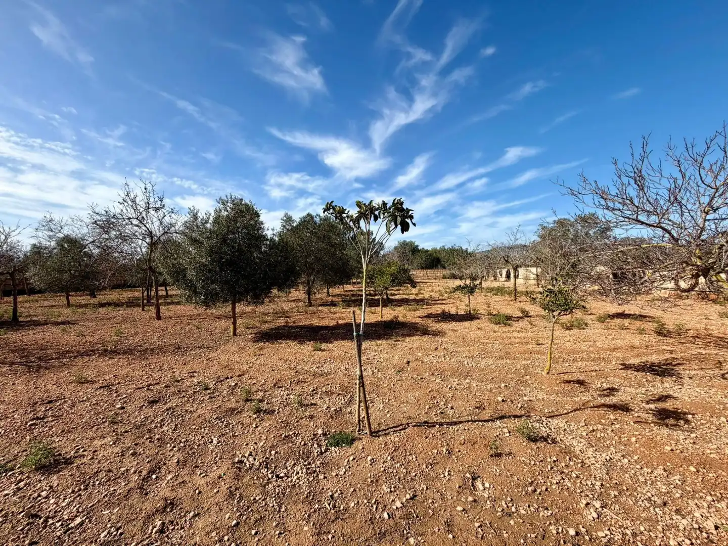 Country homes for sale in Llucmajor  with Private garden, Terrace and Alarm