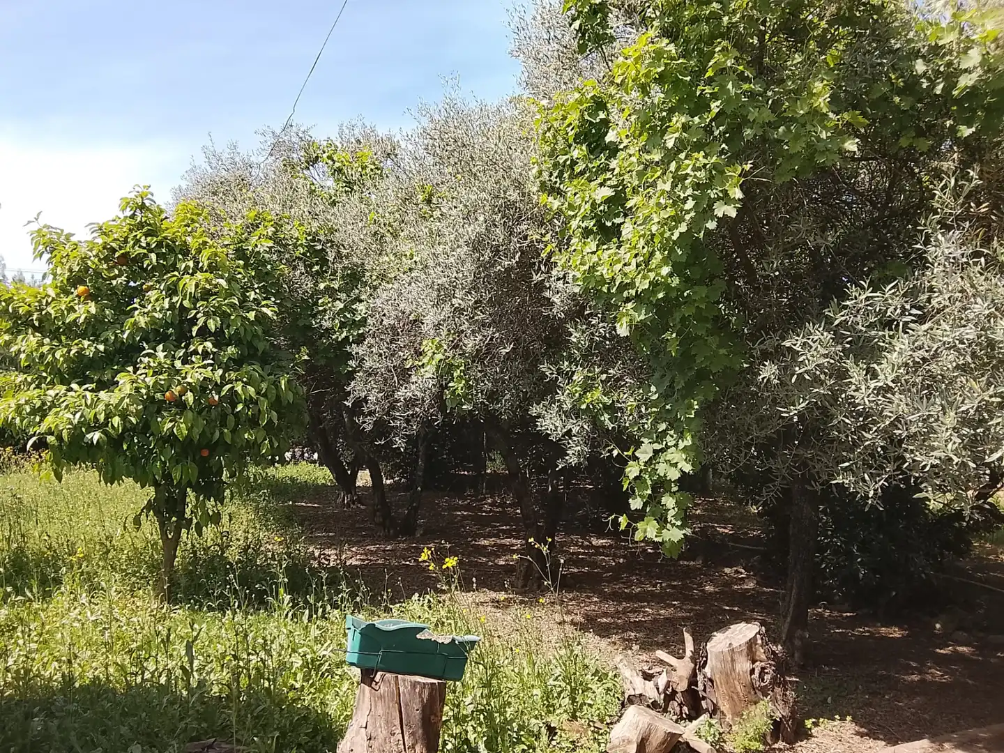 Houses for sale in Córdoba  with Air Conditioner, Private garden and Terrace