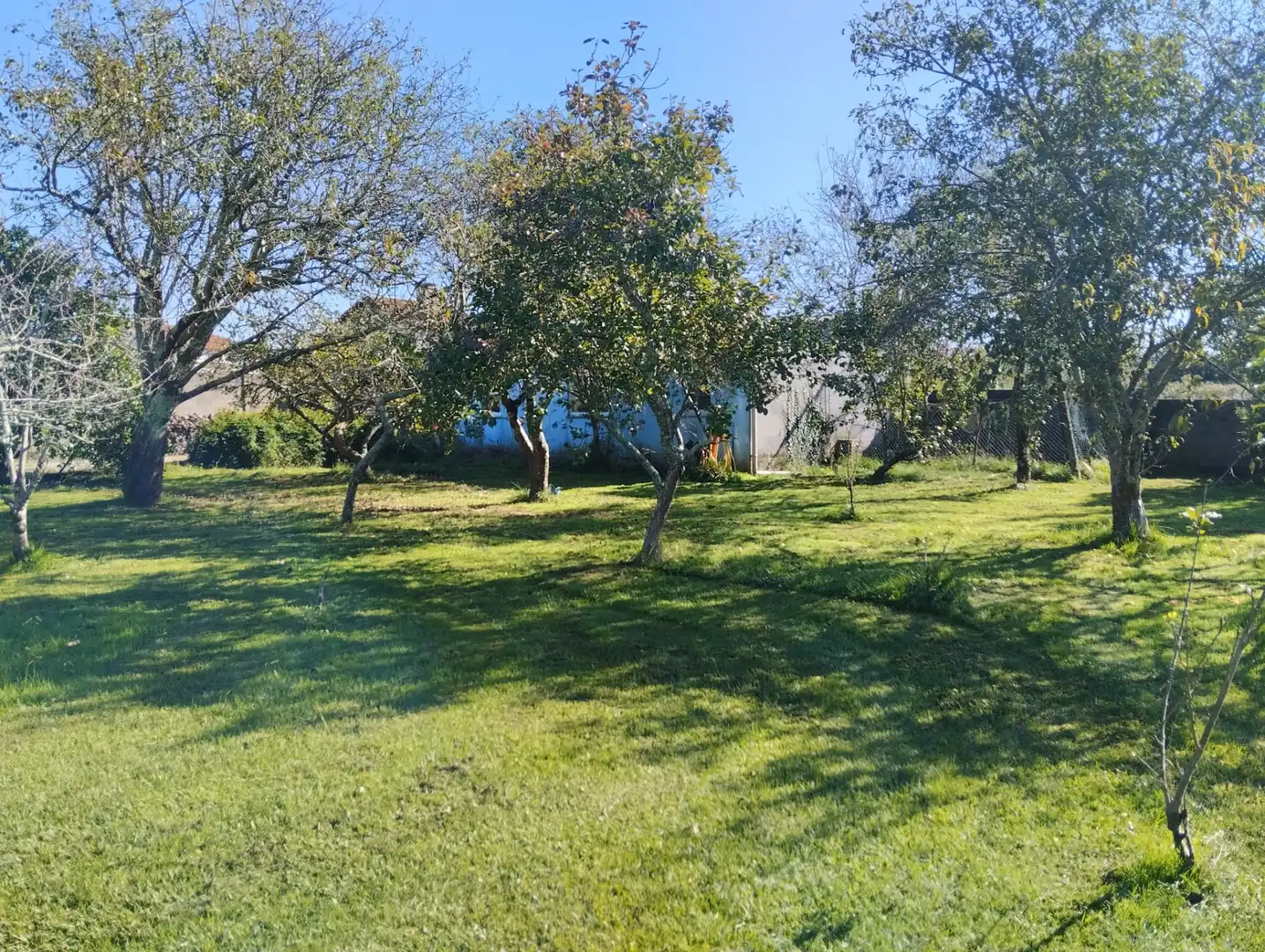 Chalet en venta en O Feal - Xubia, imagen 39
