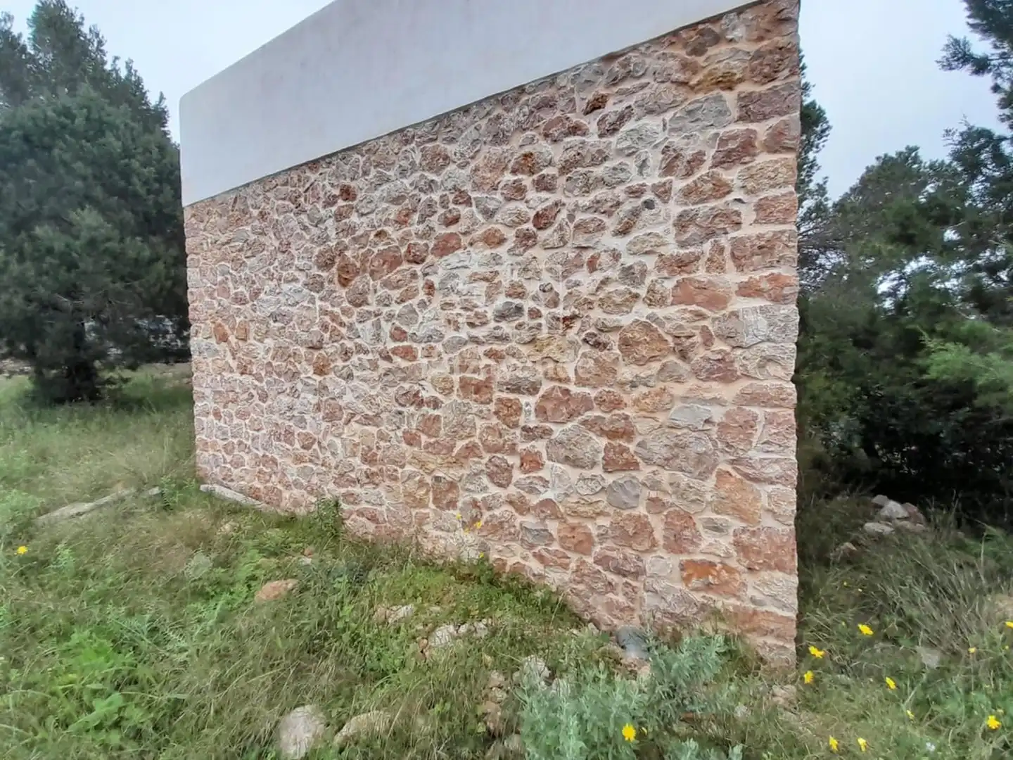 Vista exterior de Casa o xalet en venda en Santa Eulària des Riu amb Jardí privat