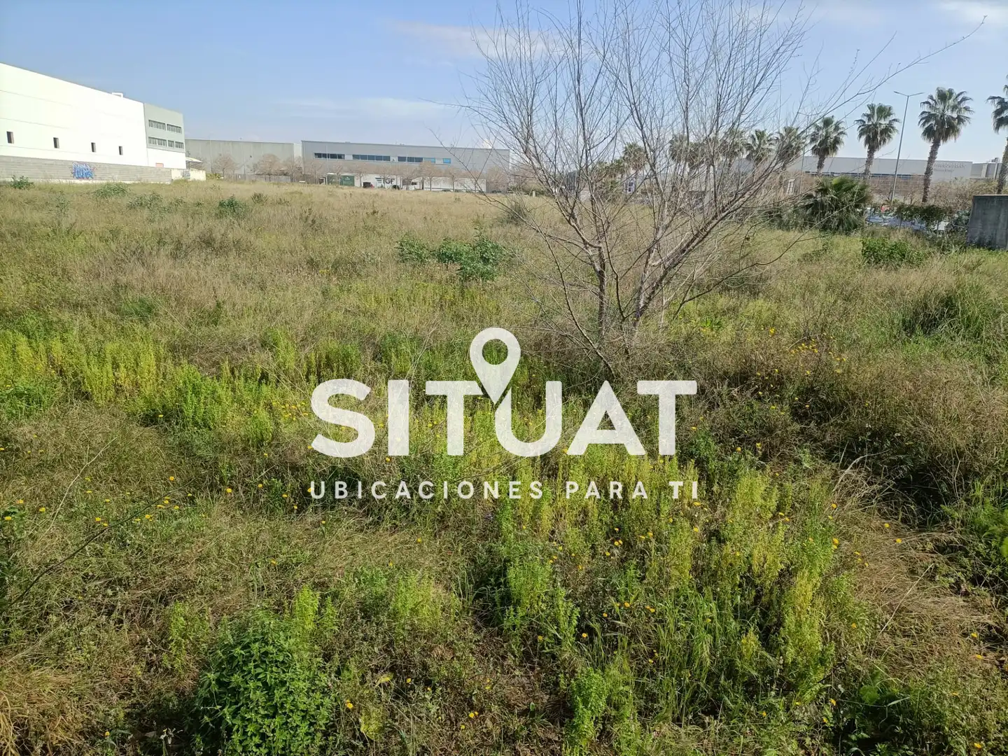 Industrial land for sale in Avinguda del Segle XXI 6, imagen 4