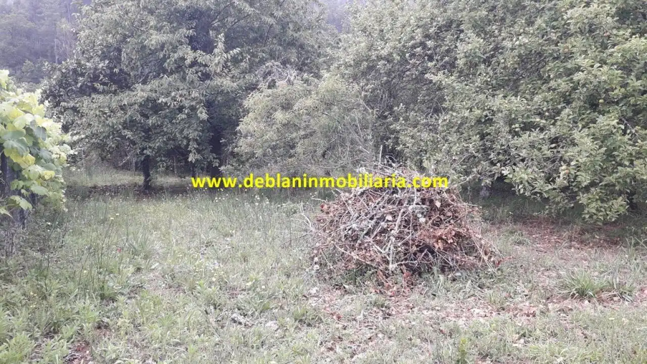 Rural land for sale in Arbo, imagen 4