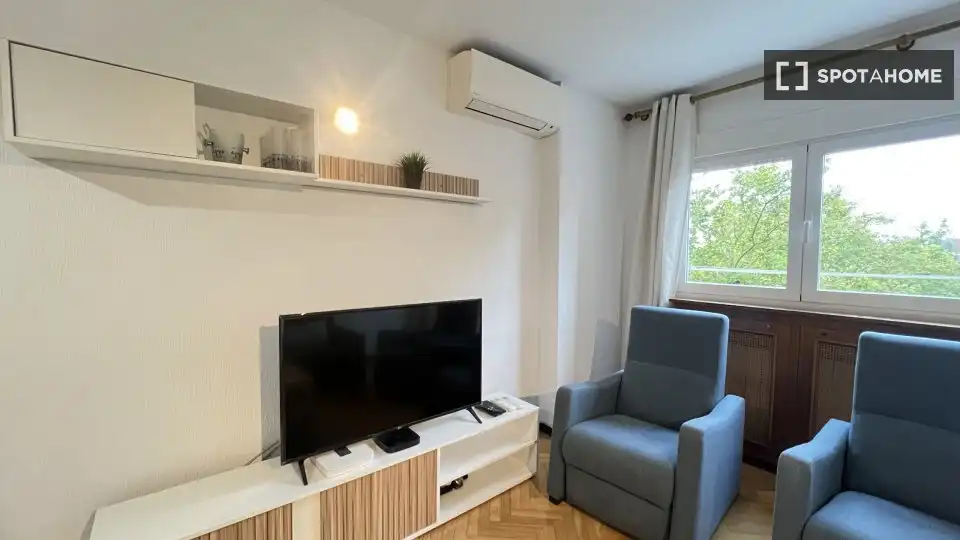 Living room of Flat for rent in Madrid  with Air Conditioner, Heating and Furnished
