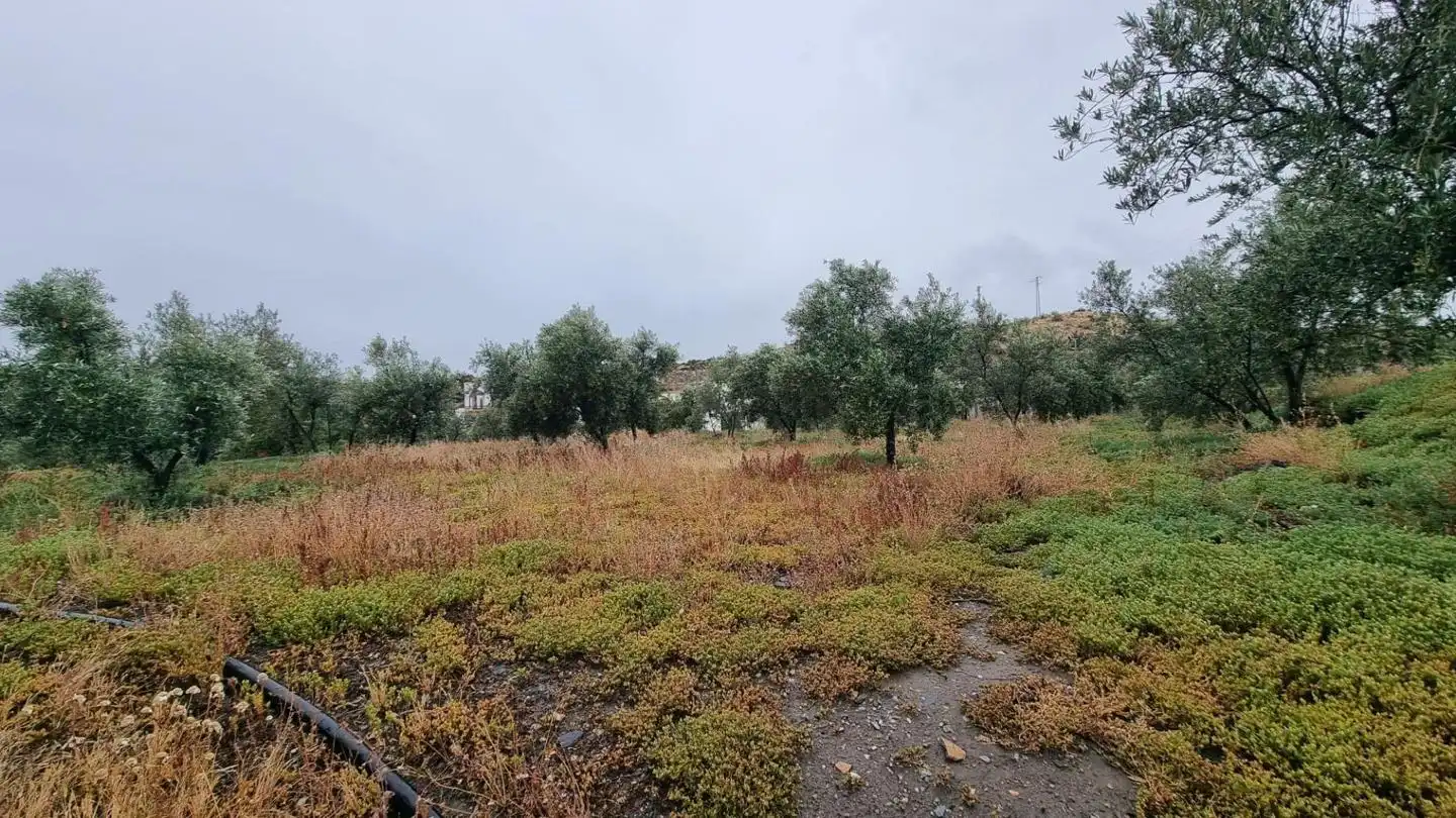 Country house with garden for sale in PARAJE PAGO DE OSCAYAR, imagen 29