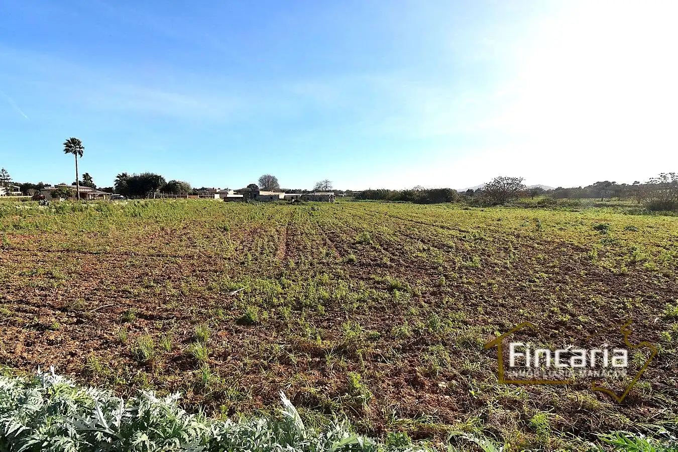 Country house zum Verkauf in Manacor