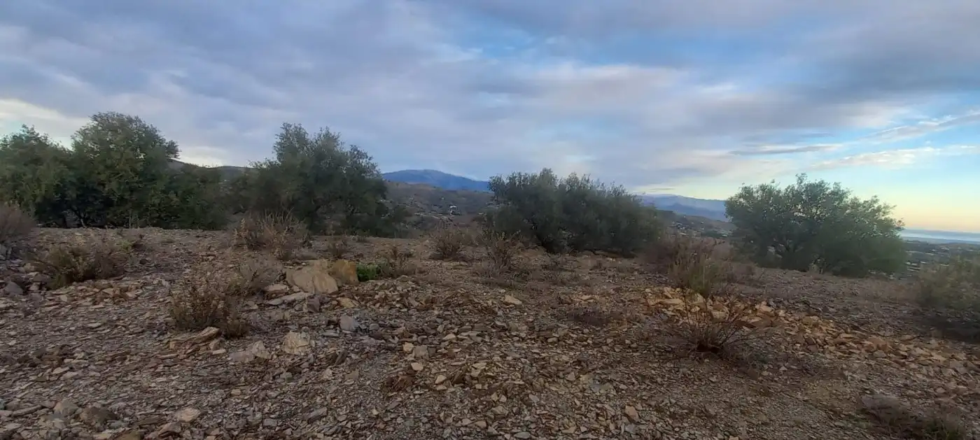 Terreni e lotti in vendita a Benajarafe, imagen 19