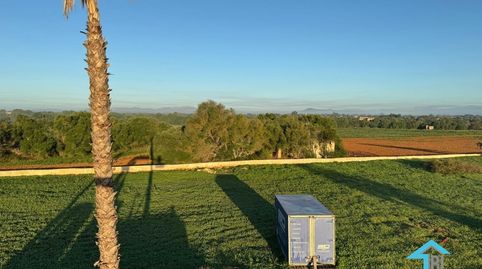 Terreno con proyecto básico en Felanitx., imatge 3