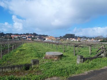 Terreno residenziale in vendita a Vilanova de Arousa