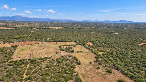 FINCA SON SIURANA, ARIANY ?EUR? 20,7 HECTÁREAS DE MALLORCA AUTÉNTICA Hay lugares en Mallorca donde el tiempo pasa más despacio. So, immagine 2