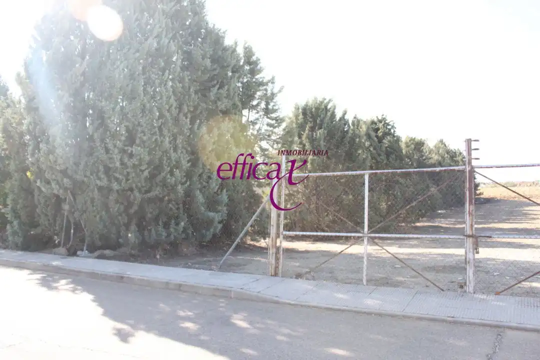 Lands and plots for sale in Novés, imagen 3