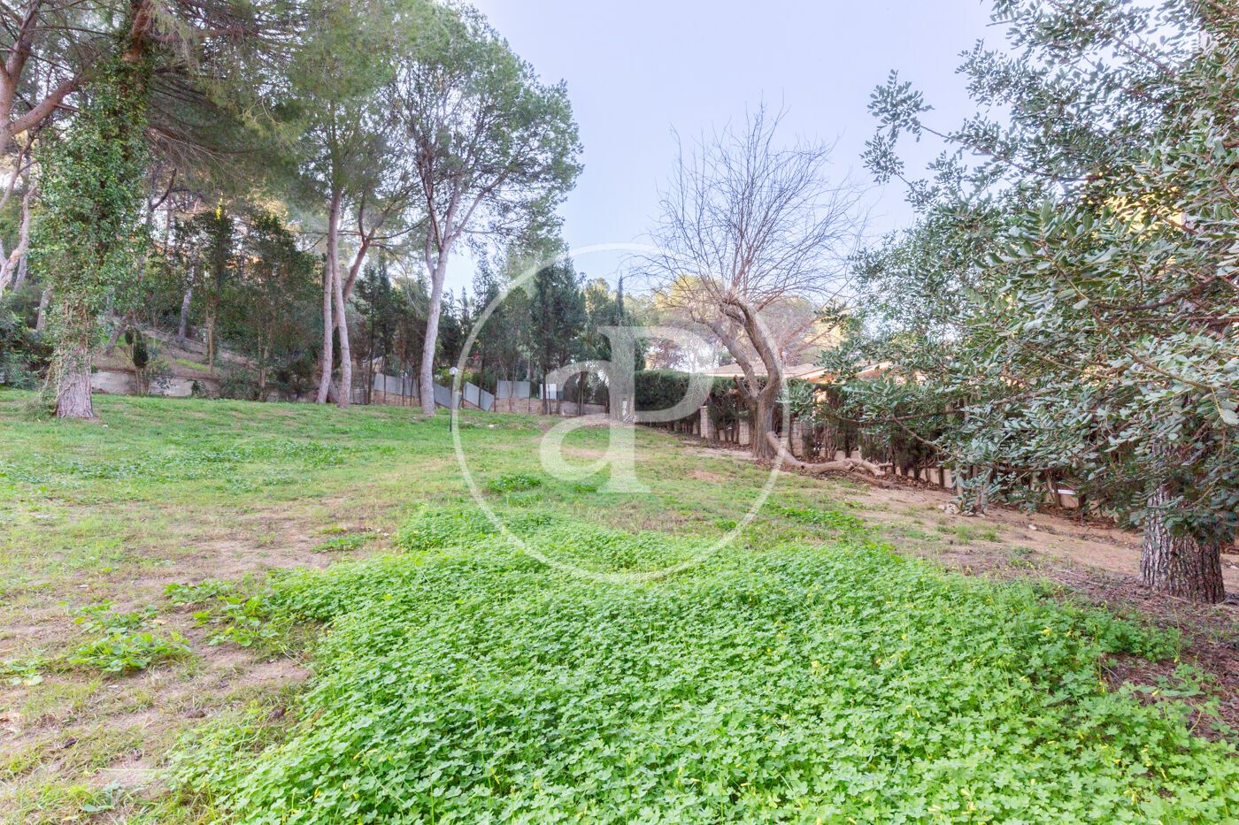 Residential for sale in Chiva