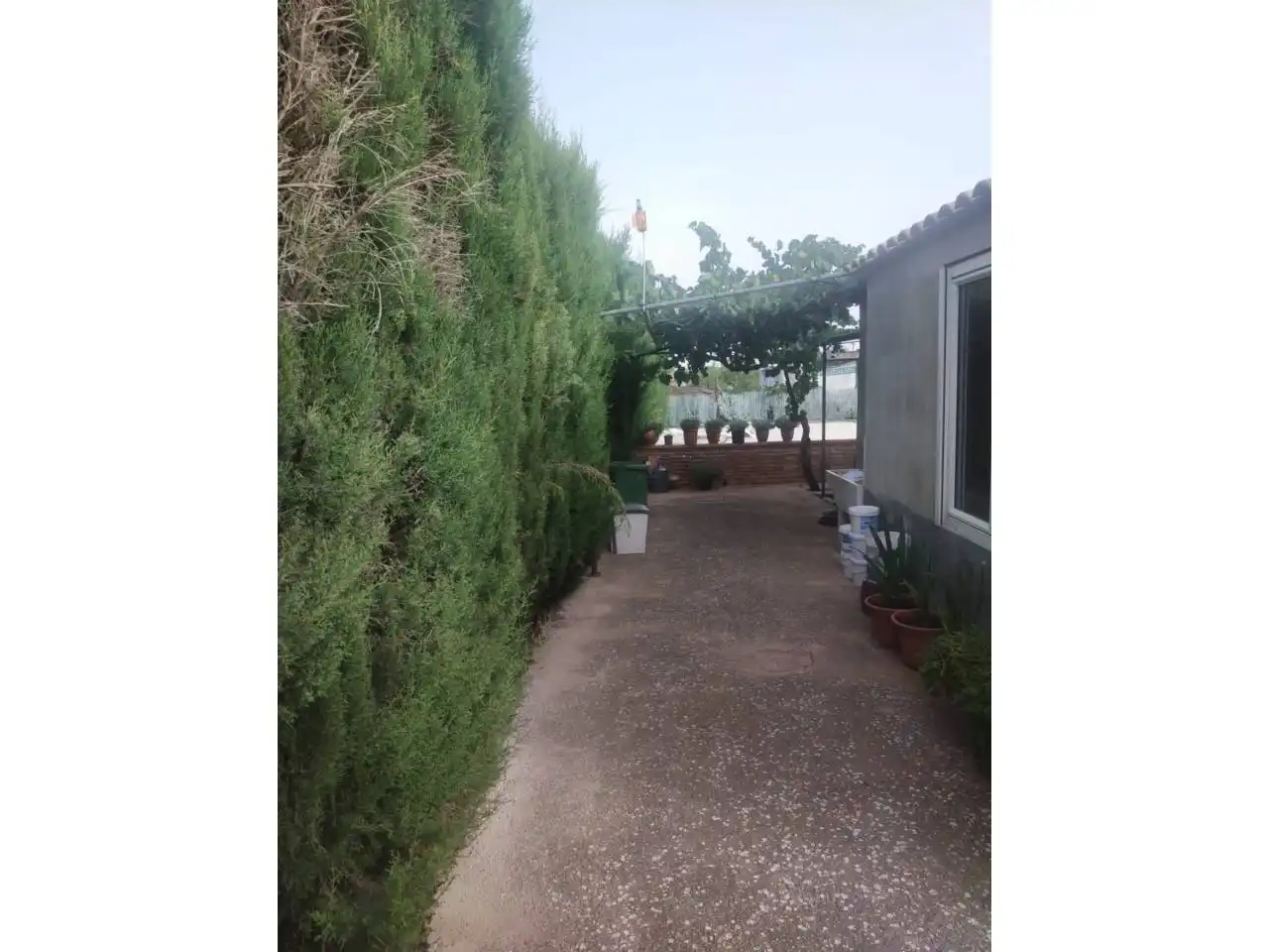 Casa rústica amb piscina en venda a Calle POLIGONO 4 PARCELA 1186, imagen 23