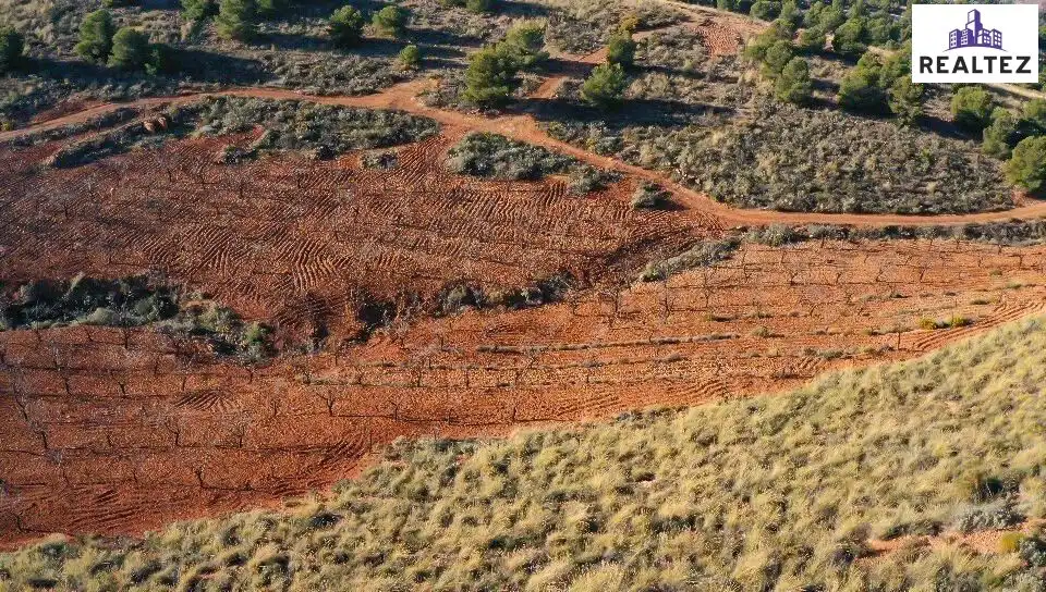 Terrain rustique à vendre à Alcolea, imagen 7