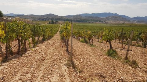 Foto 3 de Casa o xalet en venda a Paraje la Alberquilla, Jumilla, Murcia