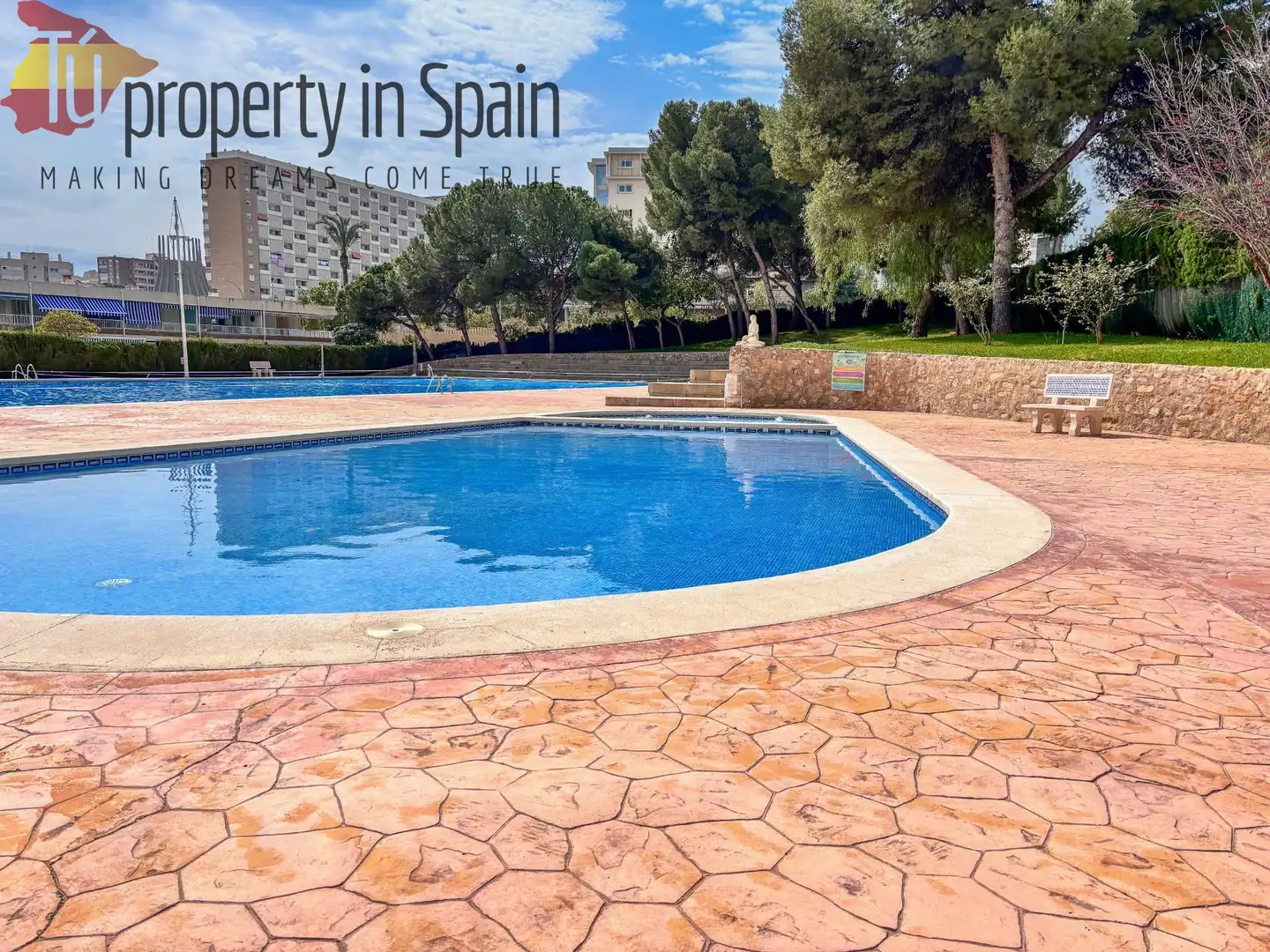 Pis amb piscina en venda a Avenida Avenida Benidorm, imagen 63