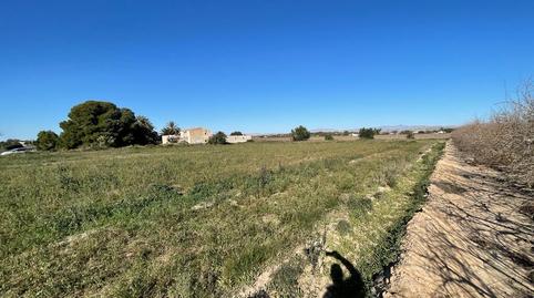 Foto 4 de Residencial en venta en Calle Partida de Valverde Bajo, Polígono 120, Valverde, Elche / Elx