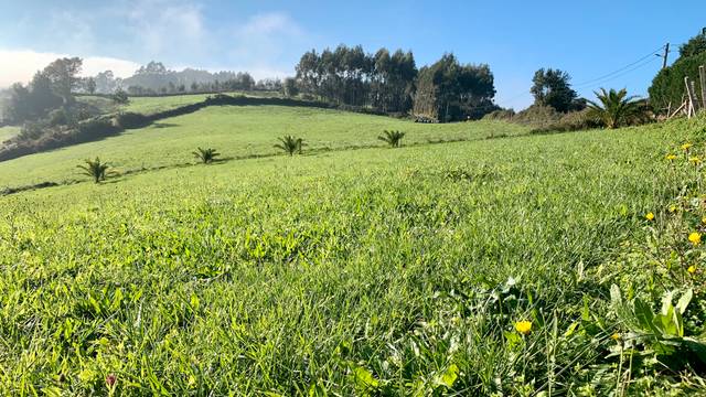 Terreno en Venta en N/A en Cenero