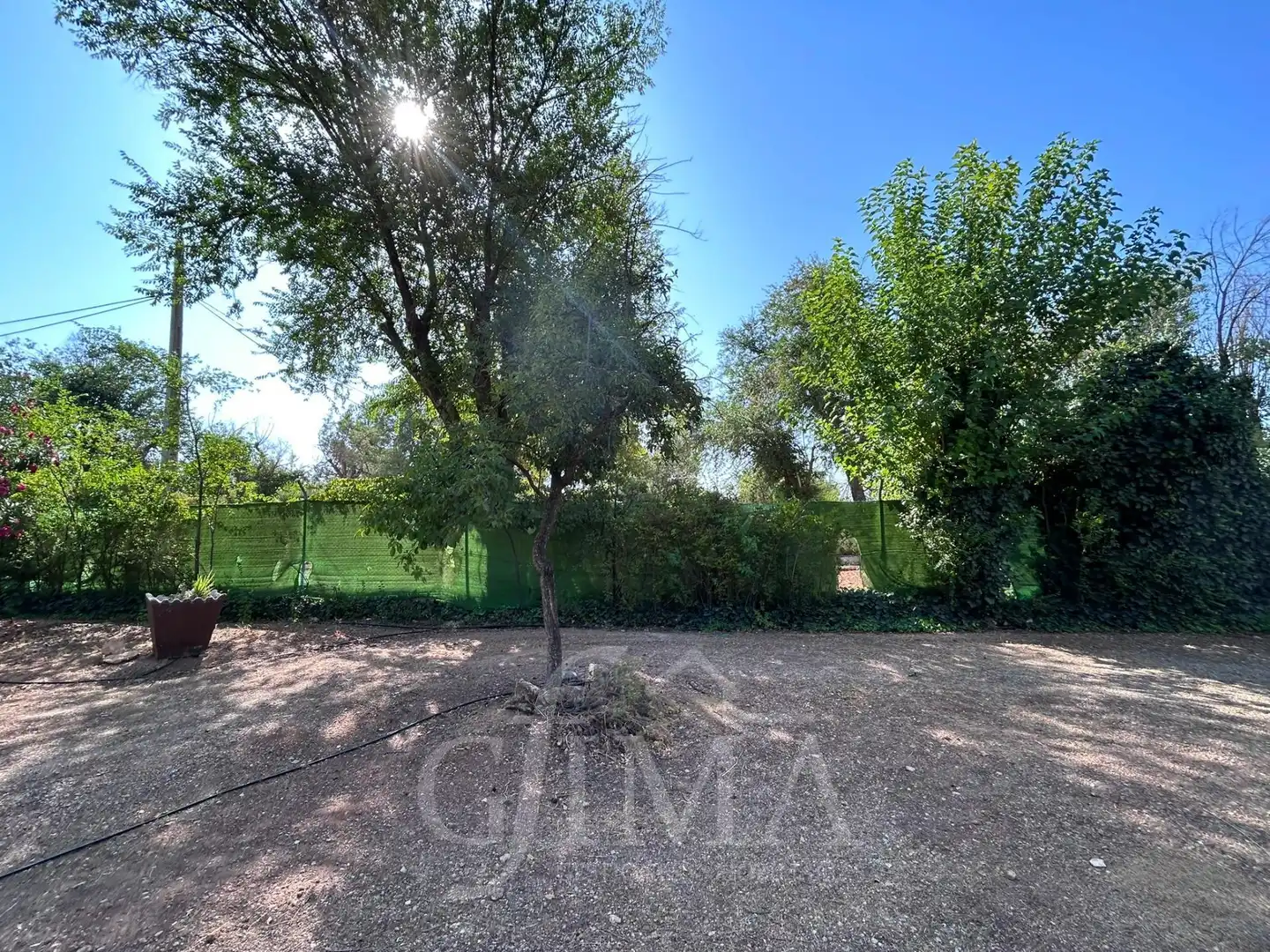 Chalet con piscina en venta en Argamasilla de Alba, imagen 6