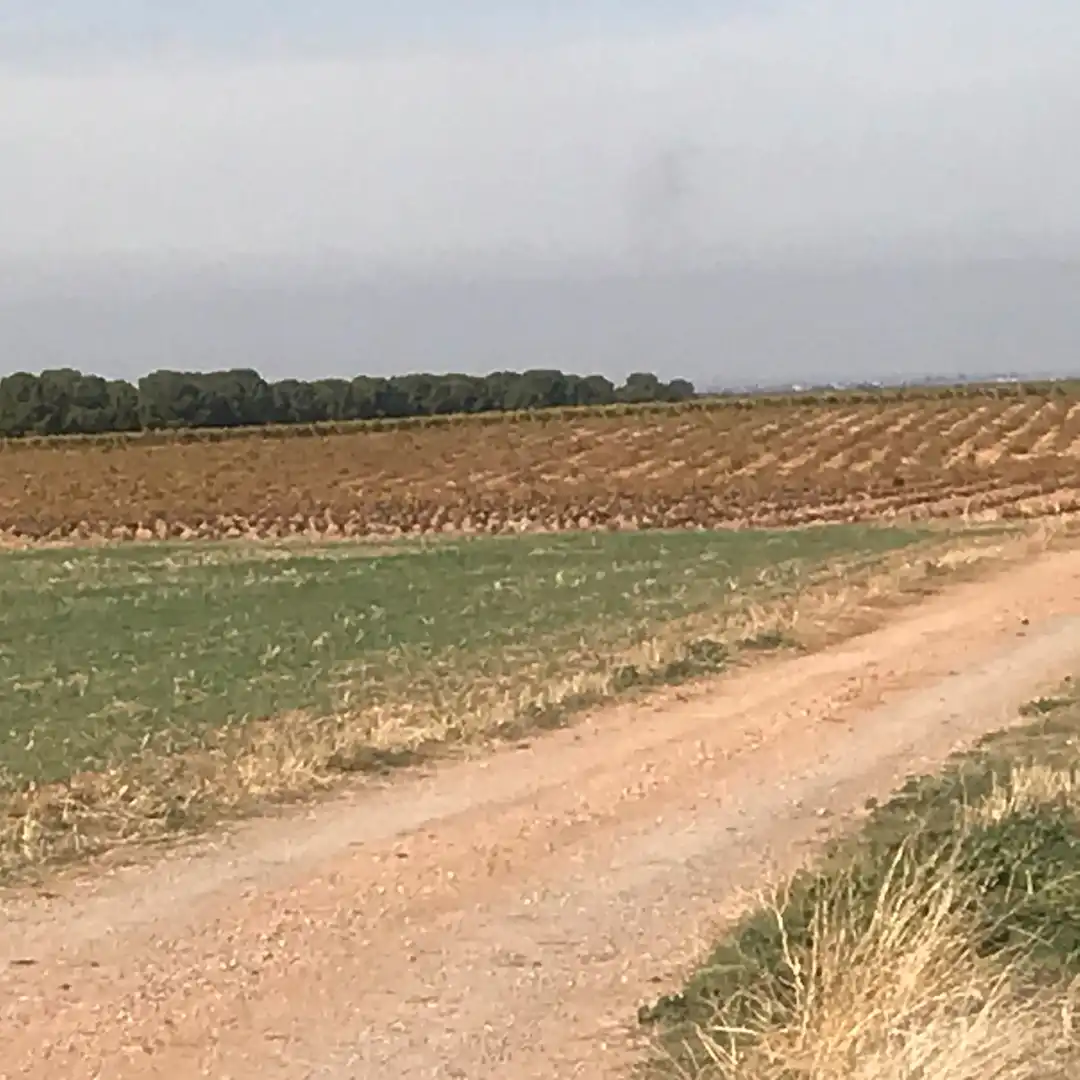 Rustikales Grundstück zum Verkauf in Tomelloso, imagen 12