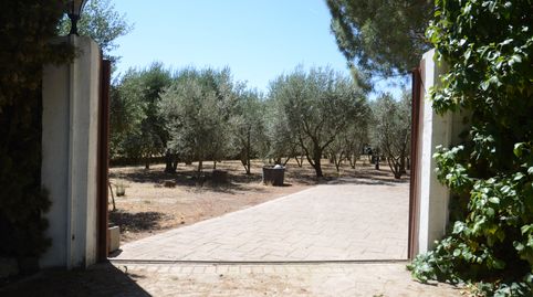 Foto 5 de Finca rústica en venta en Fuente El Saz de Jarama, Madrid