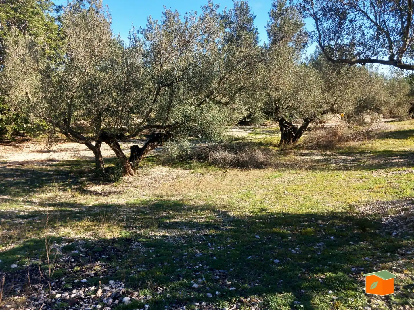 Terreno rustico in vendita a Mas de Barberans, imagen 14