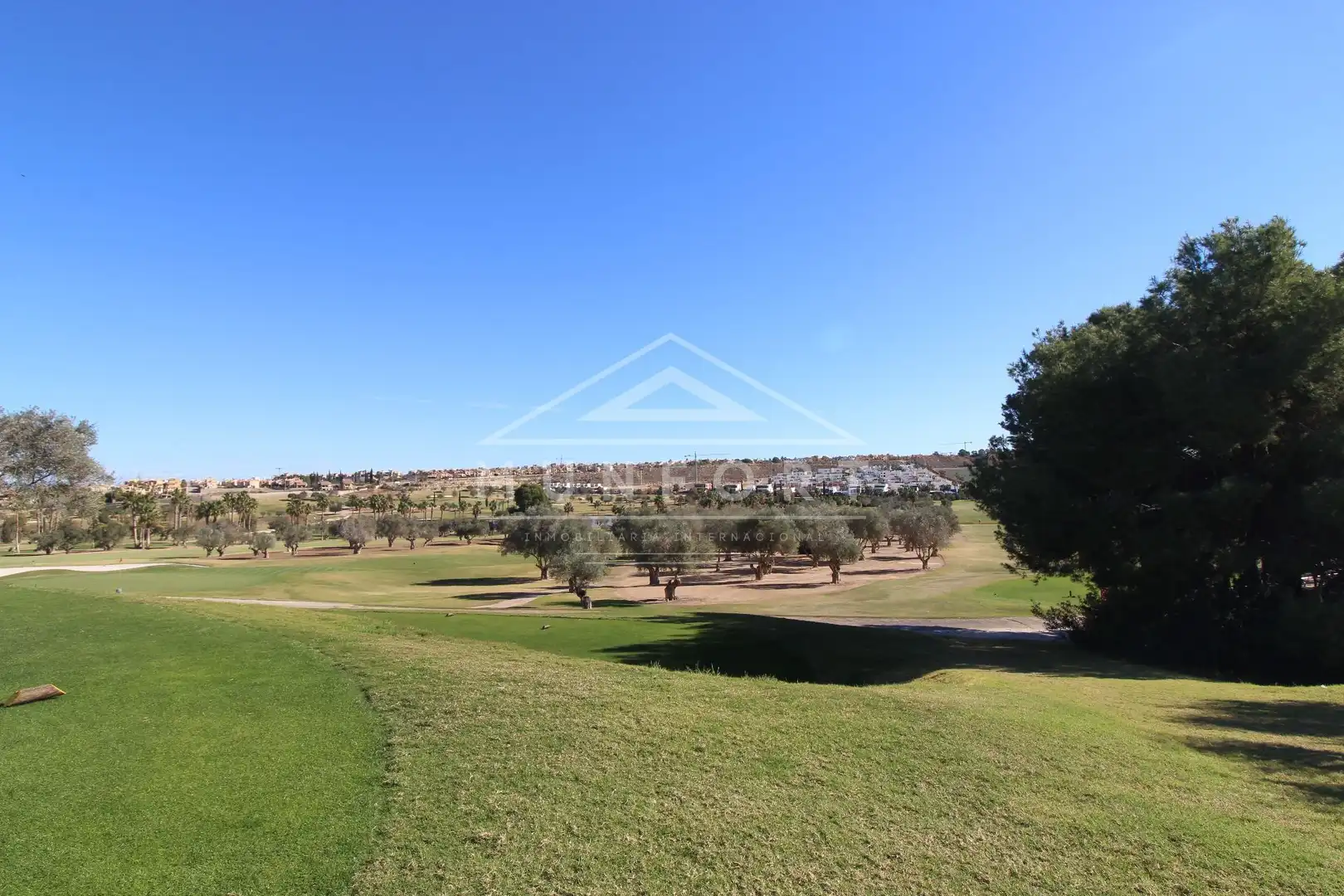 House with pool for sale in Algorfa, imagen 35