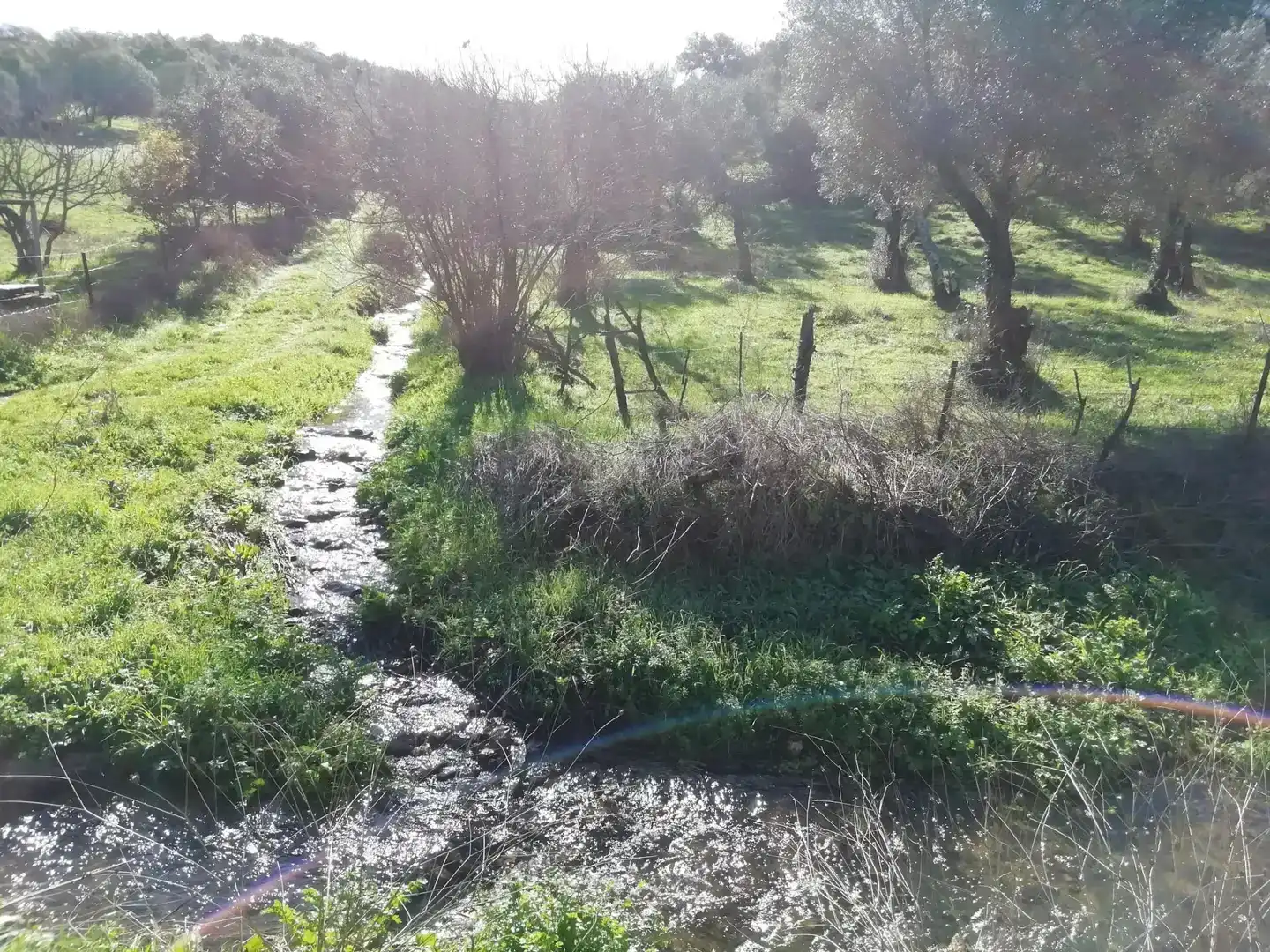 Terreno en venta en Cumbres Mayores, Huelva