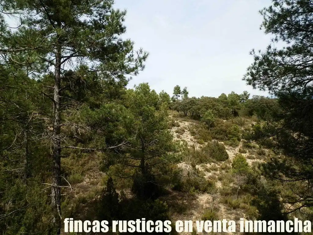 Terreni e lotti in vendita a Carboneras de Guadazaón, imagen 16