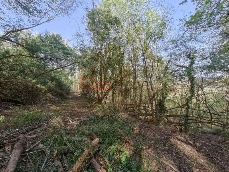Casa o xalet en venda en Siero