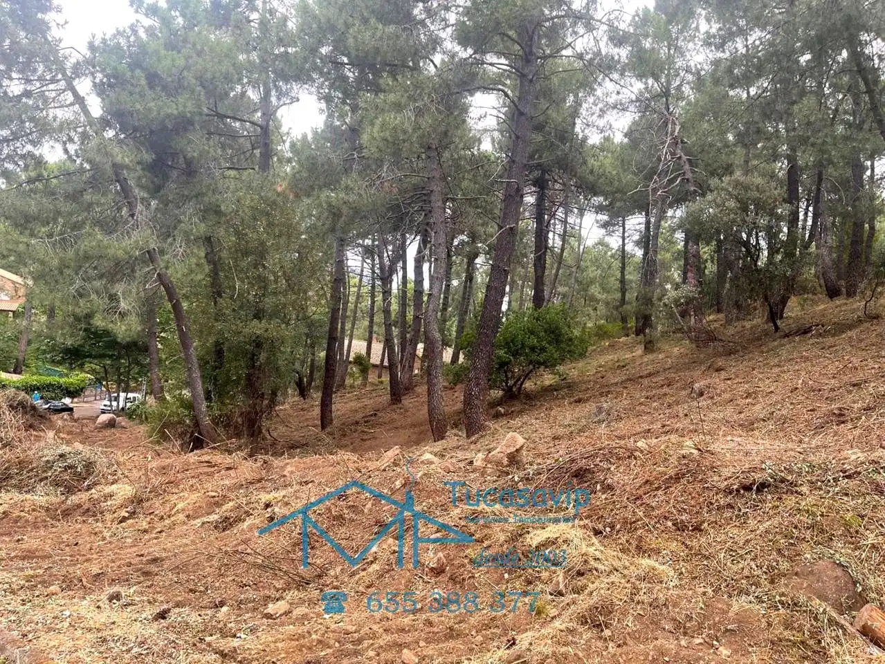 Lands and plots for sale in Cadalso de los Vidrios, imagen 12