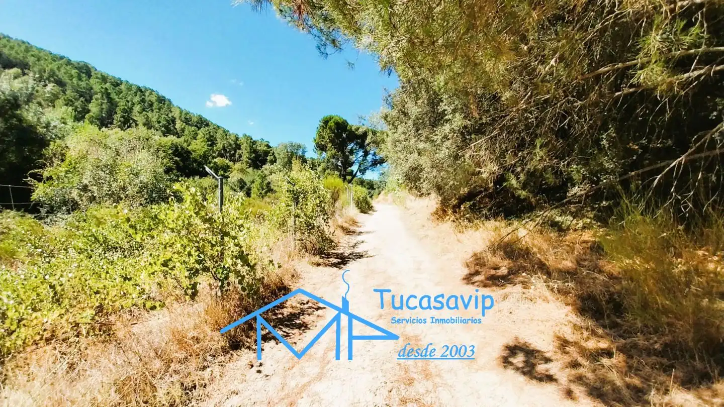 Terreno en venta en Cadalso de los Vidrios