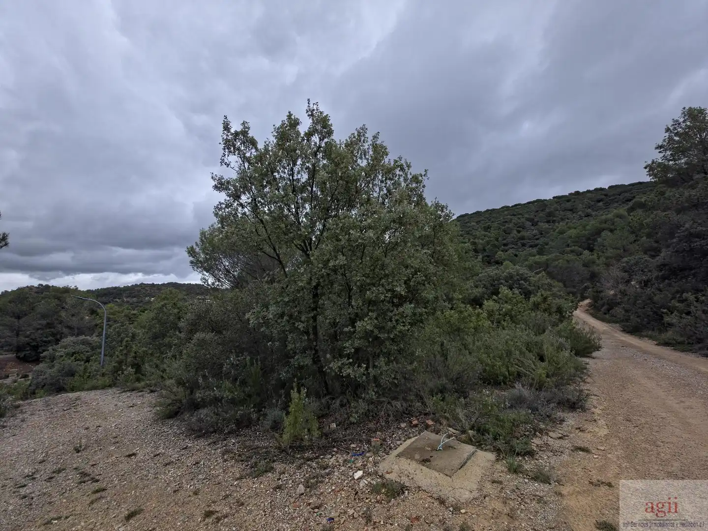 Terrain résidentiel à vendre à Trillo, imagen 3