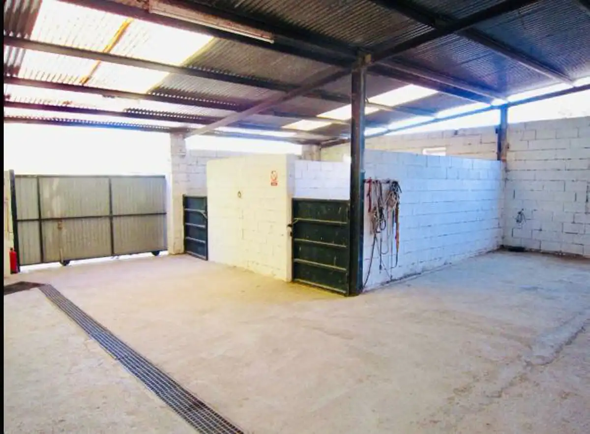 Terreno en venta en Murcia