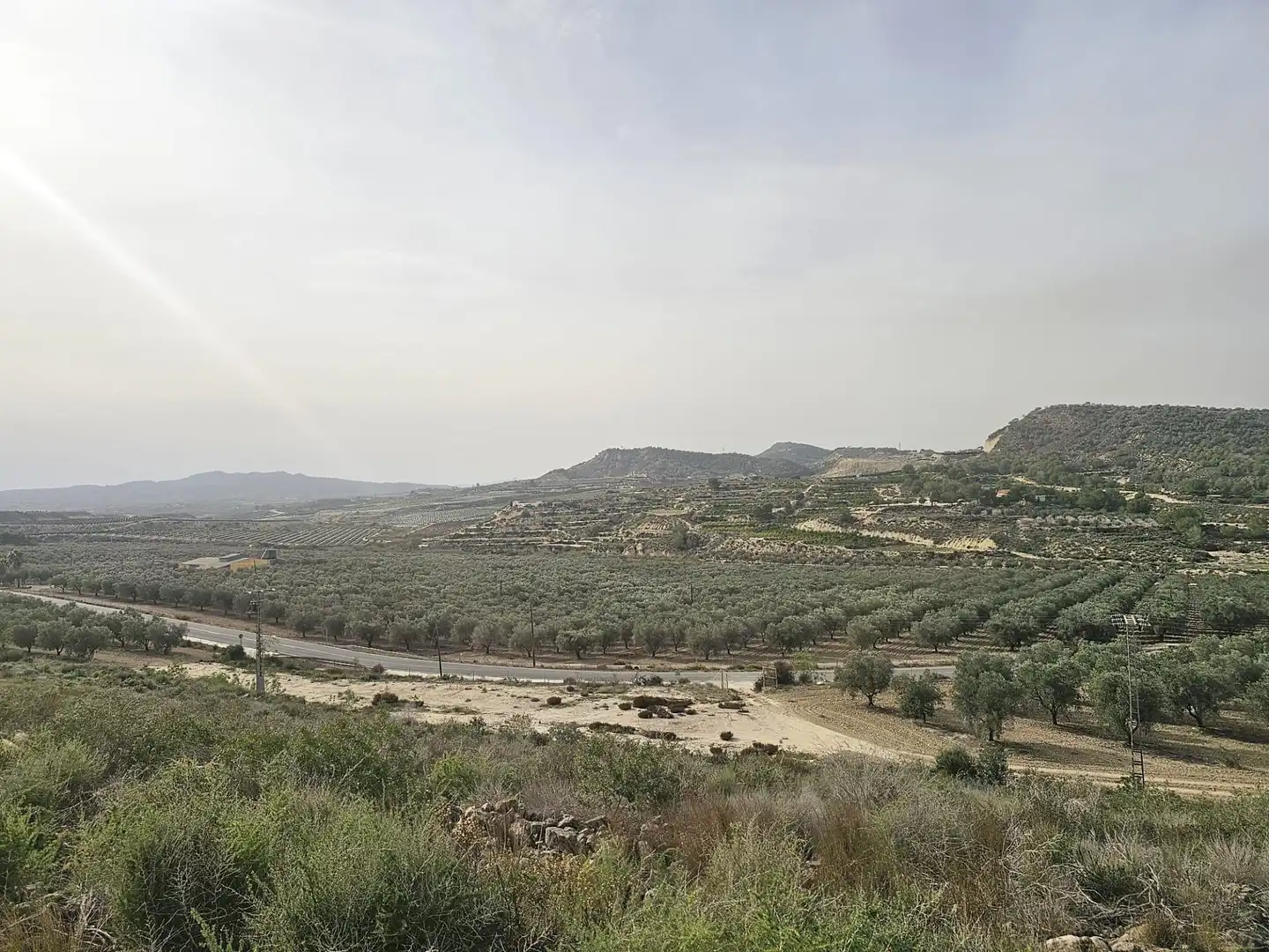 Rural land for sale in Desamparados - Hurchillo - Torremendo, imagen 14