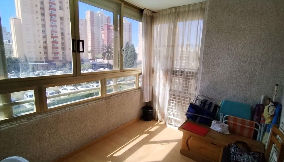 Apartamento en venta en Levante Alto - 5