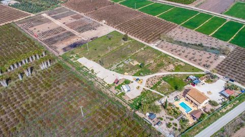 Foto 3 de Finca rústica en venta en Crevillent, Alicante
