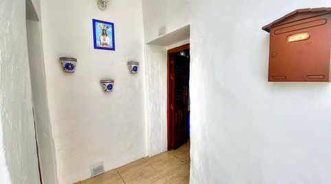 Foto 3 de Finca rústica en venta en Salares, Málaga