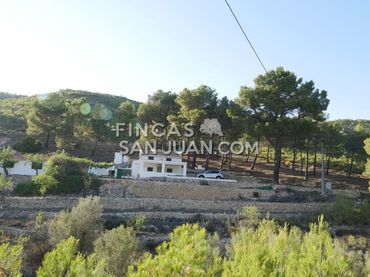 Terreny residencial en venda a Torremanzanas / La Torre de les Maçanes