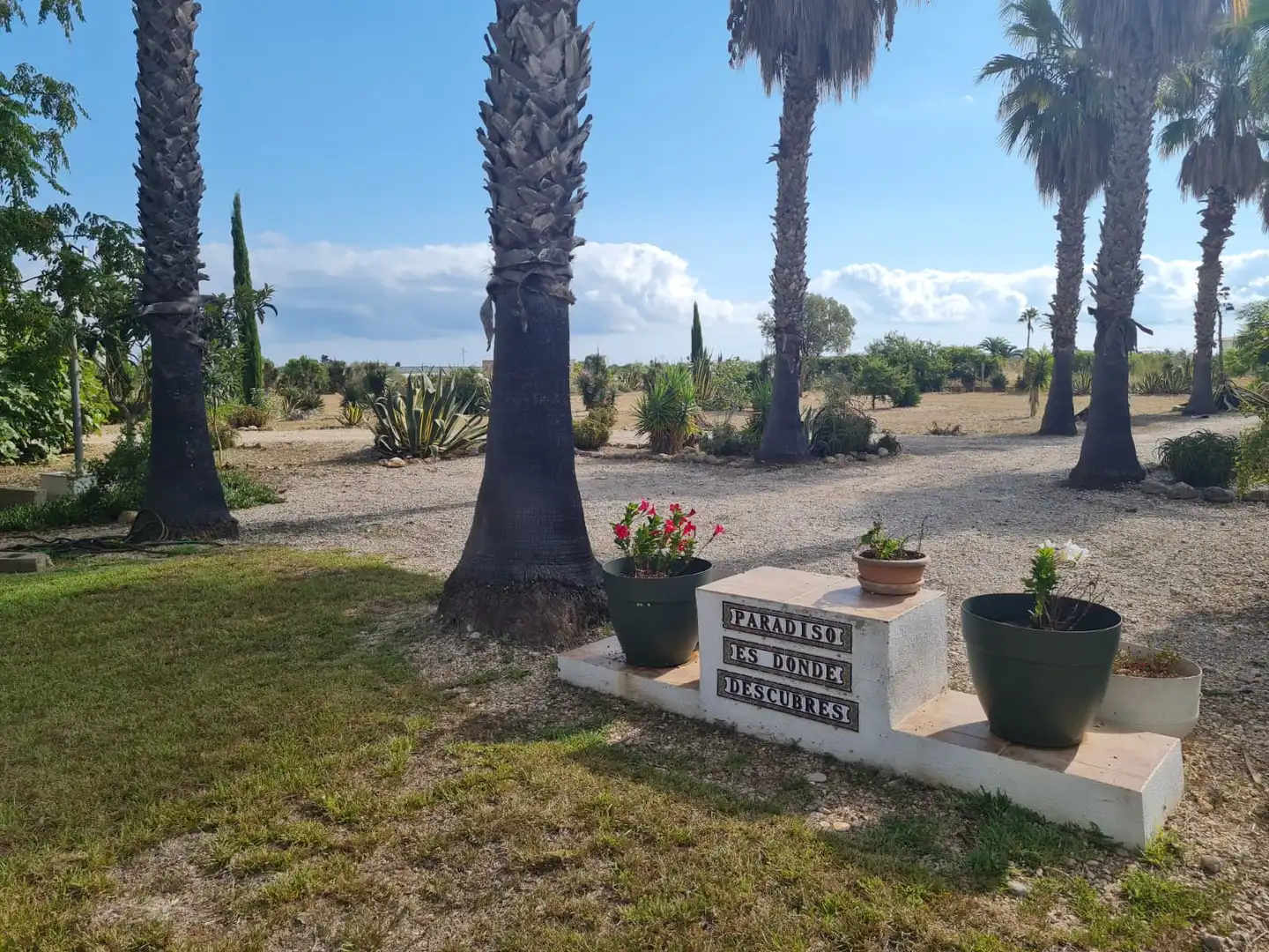 Detached house with pool for sale in Boverals - Saldonar, imagen 15