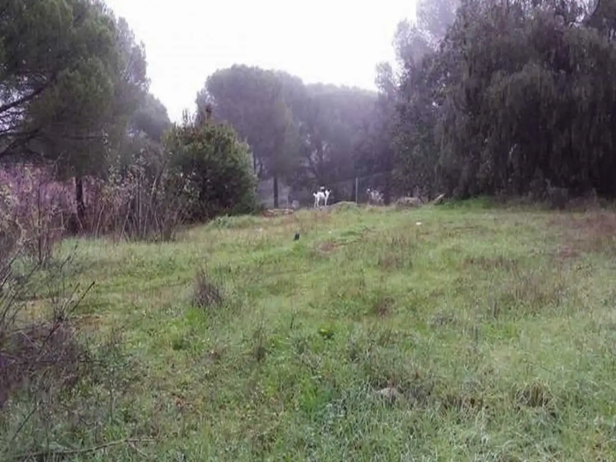 Lands and plots for sale in Periurbano Oeste - Sierra