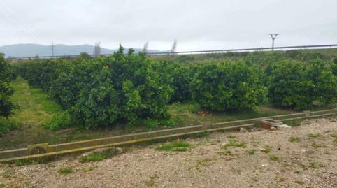 Foto 5 de Finca rústica en venda a Bonavista - Lago de San Lorenzo, Valencia