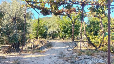 Foto 5 de Finca rústica en venta en Molino Quemado, El Pinar, Granada