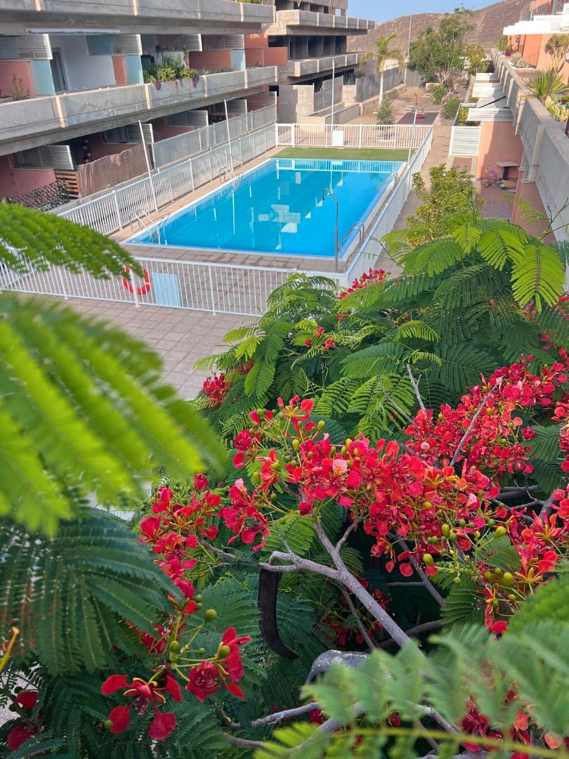 Piscina de Pis en venda en San Miguel de Abona amb Jardí privat, Terrassa i Traster