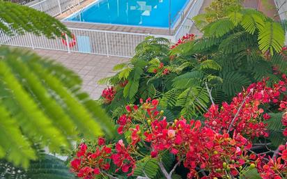 Piscina de Pis en venda en San Miguel de Abona amb Jardí privat, Terrassa i Traster