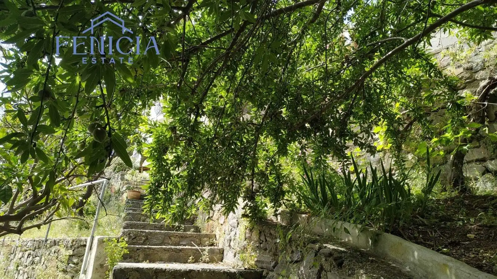 Jardí de Casa o xalet en venda en Almuñécar amb Jardí privat, Terrassa i Traster
