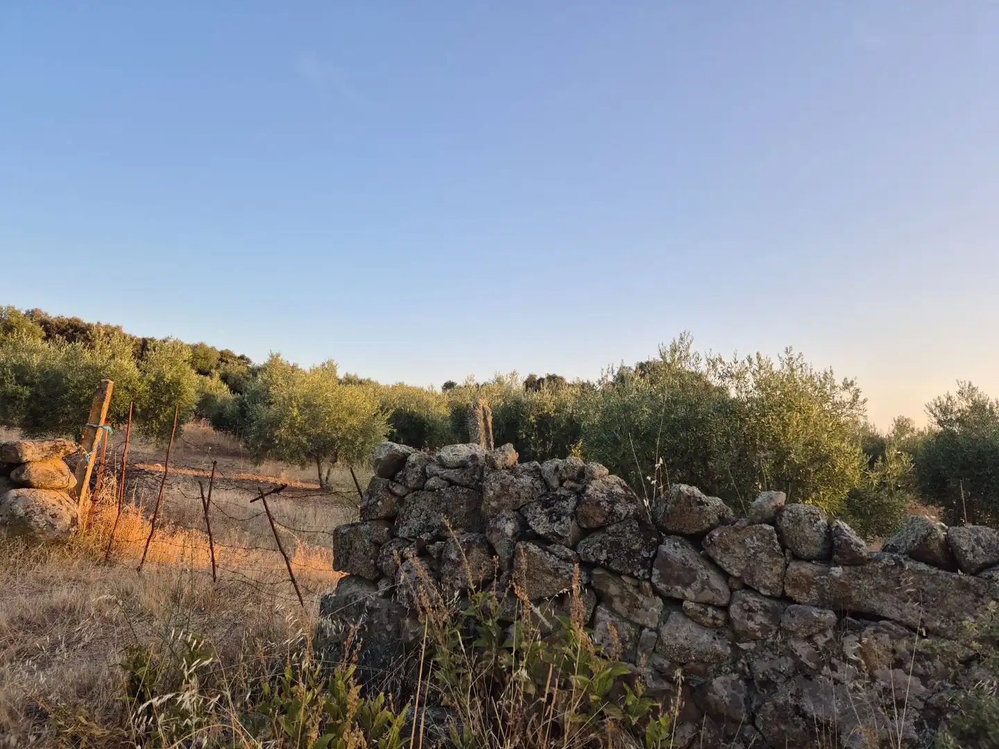 Grundstücke zum Verkauf in Abertura, Cáceres