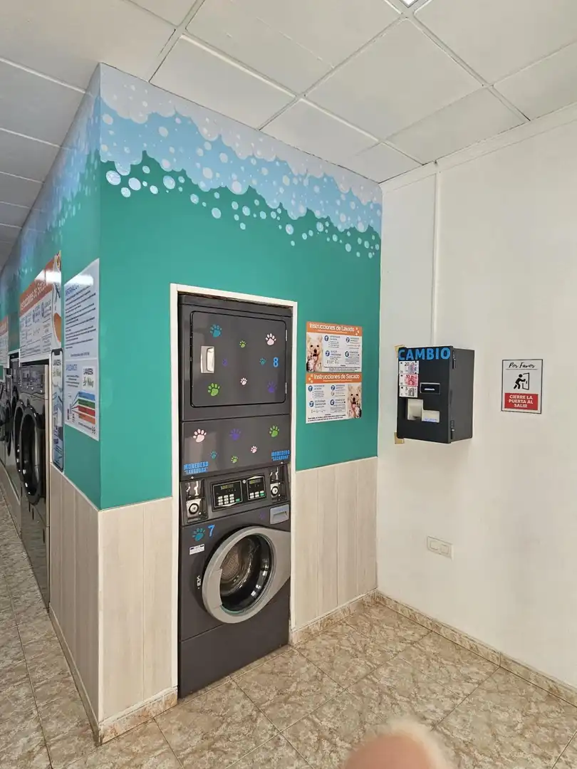Business premises for transfer in Los Molinos - Villa Blanca, imagen 6
