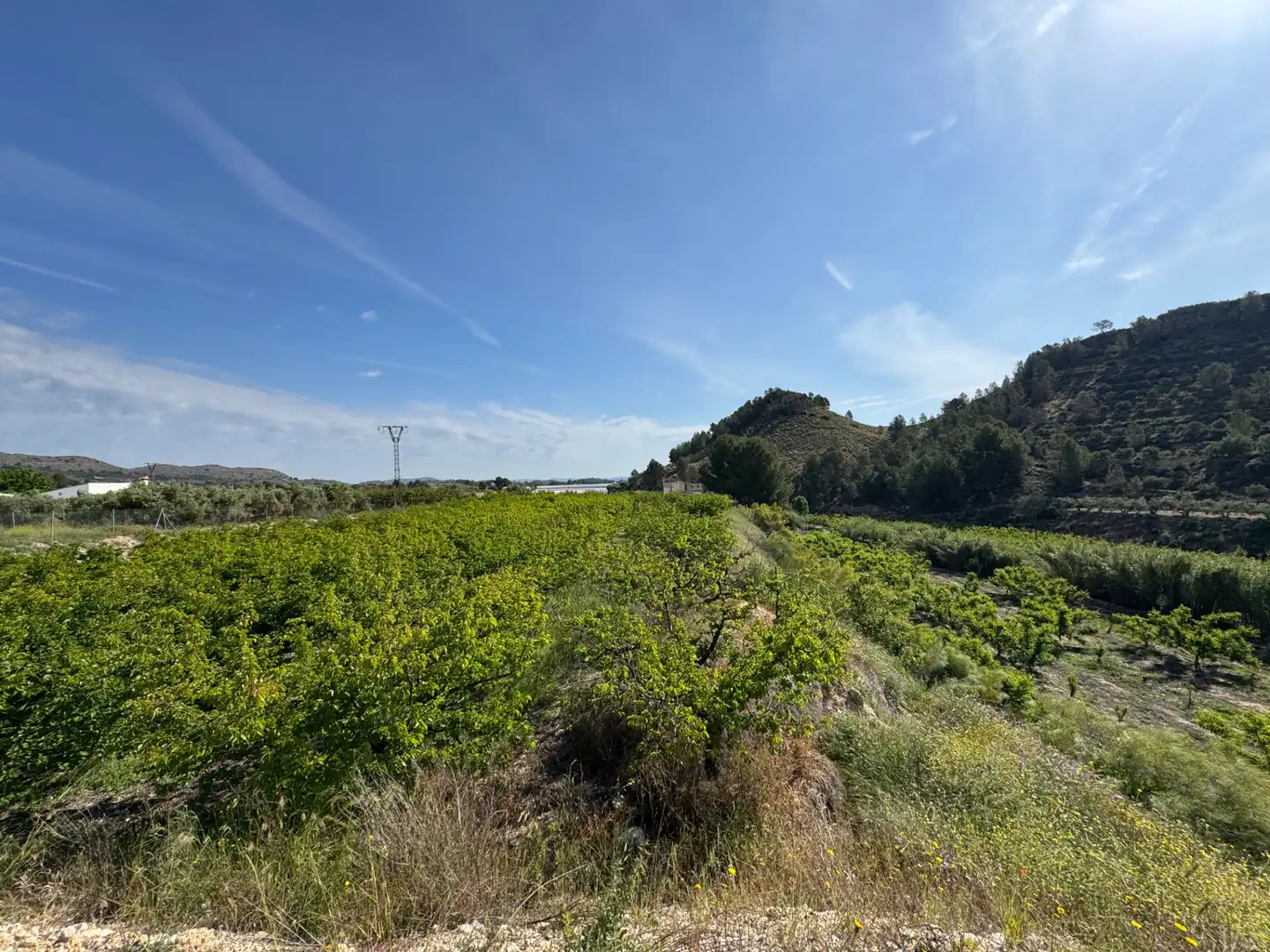 Terreno rustico in vendita a Calle 7.Canara 76, imagen 3